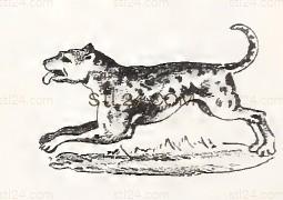 ANIMAL_0145